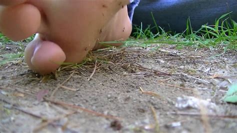 Ants At My Feet - YouTube