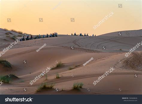 Camel Caravan Sahara Desert Morocco Stock Photo 1560468626 | Shutterstock