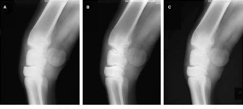 [PDF] Digital radiography artifacts. | Semantic Scholar