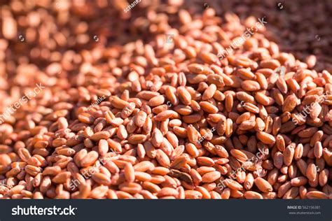 1,247 Hard Red Wheat Images, Stock Photos & Vectors | Shutterstock