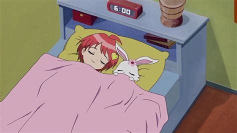 Image - Ruby & Rinko sleeping together.jpg | Jewel Pet Wiki | FANDOM ...