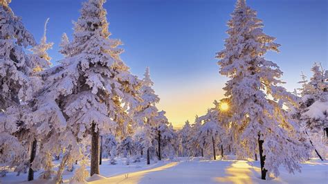 Winter Wonderland Desktop Wallpapers - Top Free Winter Wonderland Desktop Backgrounds ...