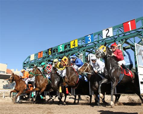 Starting Gate - Tucson Attractions