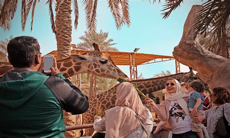 Emirates Park Zoo | Visit Abu Dhabi