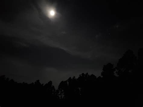 Moonlit night, me, photography, 2019 : r/Art