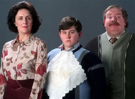 Vernon e Petunia, Dursley, gli zii estremamente non magici