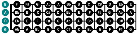 Mandolin Fretboard | Mandozine