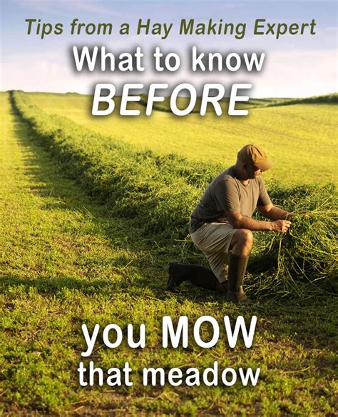 Making Your Own Hay | Mowing, Haymaking, Horses