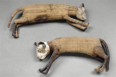 Ancient Egyptian Animal Mummies - Historic Mysteries