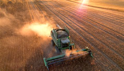 Maize or Corn Farming in South Africa