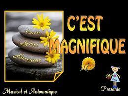 C’est magnifique