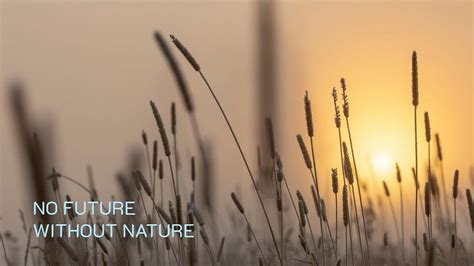 Nature quote blog banner template, | Free Editable Template - rawpixel