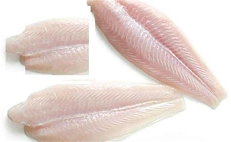 Grouper Fillet Supplier, Grouper Fish Manufacturers, Frozen Grouper ...