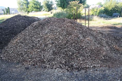 wood chip pile | A pile of wood chips at Oak Creek Center fo… | Flickr