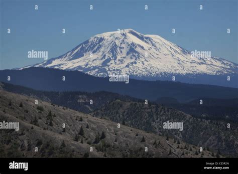 Mount Adams Volcano washington Stock Photo - Alamy