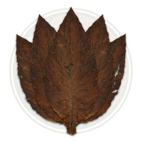 Fronto Leaf, 5 Grabba Leaf Package - Cigar Chief