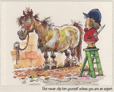 Thelwell's Ponies | Horse cartoon, Funny horse pictures, Funny horses