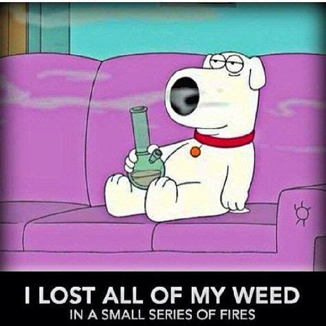 Funny Weed Pics