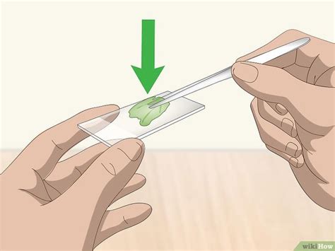 3 Ways to Prepare Microscope Slides - wikiHow | Microscope slides, Medical laboratory science ...