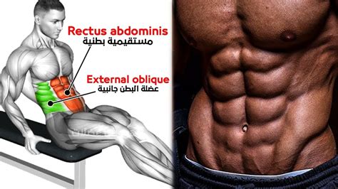 BEST 7 ABS EXERCISES 👊 GYM WORKOUT - YouTube