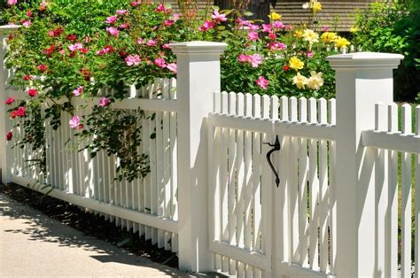 White Picket Fence Gate with Yellow, Pink and Red Roses | Backyard ...