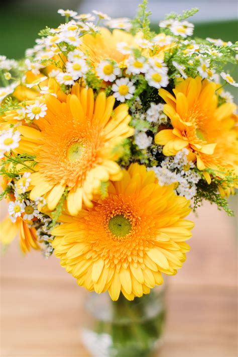 Yellow gerbera and matricaria daisy bouquet. Photo: Michaela Janetzko ...