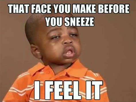 Face You Make Before Sneeze Funny Meme – FUNNY MEMES