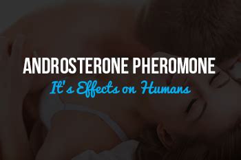 Androsterone Pheromone: It’s Effects on Humans - True Pheromones Inc.