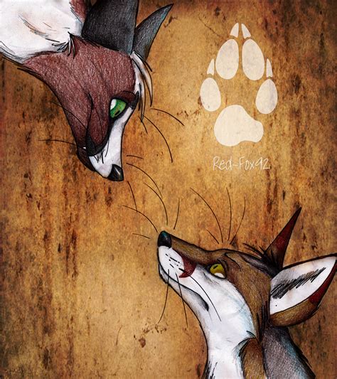 Gift: Culpeo-Fox by Red-Fox92 on DeviantArt