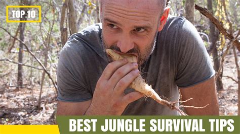 Top 10 Best Jungle Survival Tips - YouTube