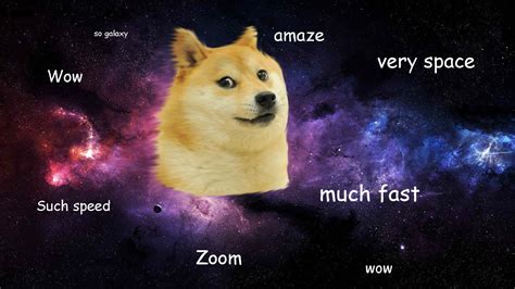 Doge Wallpapers (75+ pictures) - WallpaperSet