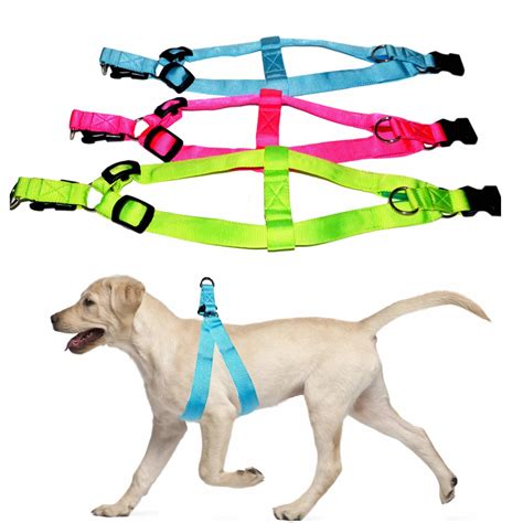 LED Light Up Dog Harness Night Waterproof Pet Vest OEM ODM Available