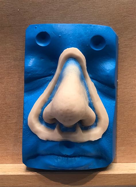 Large Prosthetic Nose | Etsy