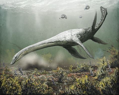 Attenborosaurus conybeari by Mark Witton | Sea dinosaurs, Extinct animals, Prehistoric animals