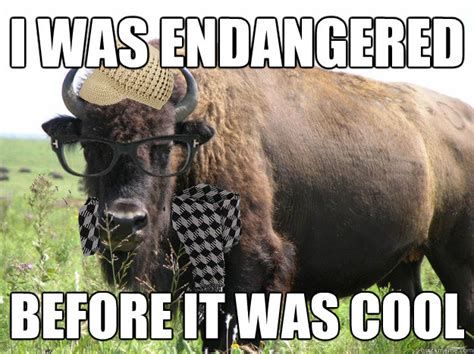 hipster buffalo memes | quickmeme