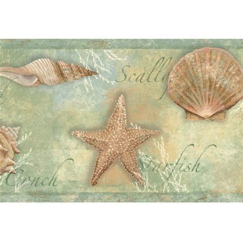 878533 Sea Shells Wallpaper Border CT46052b - Walmart.com - Walmart.com