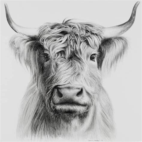 How To Draw Animals? - 60 Easy Pencil Drawings Of Animals