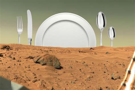 Pierogi Gallery Introduces: The Menu for Mars Kitchen | Widewalls