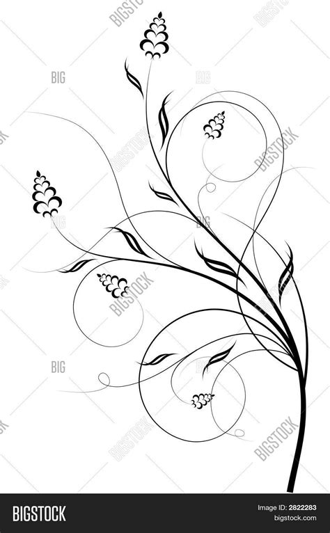 Abstract Floral Vector & Photo (Free Trial) | Bigstock