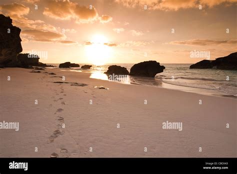 Bermuda. Sunrise and footprints footsteps on Horseshoe Bay beach ...