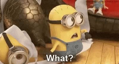 Minions Shock GIFs | Tenor