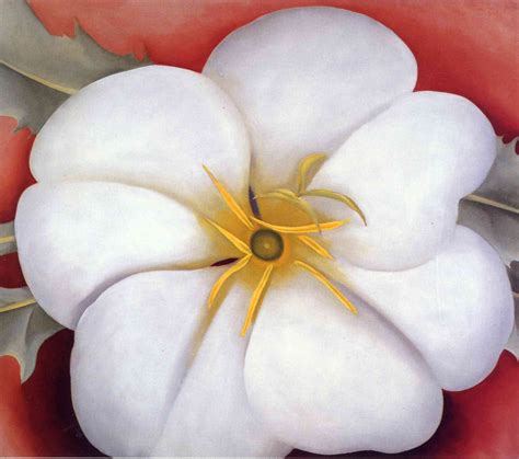 Georgia O'Keeffe. White Flower on Red Earth, No. 1 | Georgia o'keeffe, Kunst von frauen, Künstler