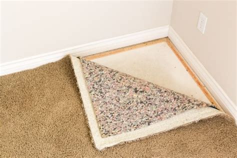 The Different Types of Carpet Padding