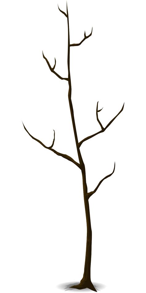 Leafless Tree Drawing at PaintingValley.com | Explore collection of ...