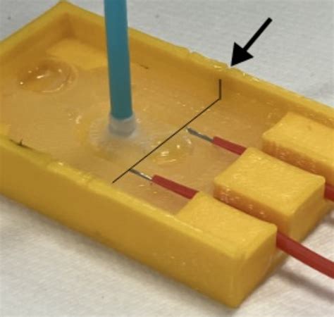 Module 1: Robotic Whisker Sensor – MIT Sea Grant