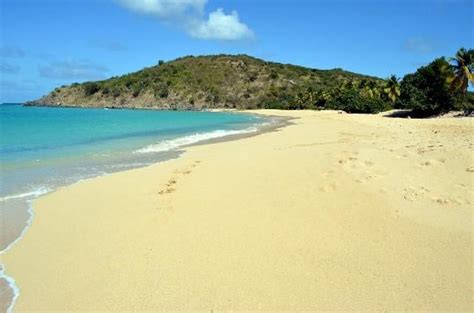 Happy Bay Beach | Beach, Saint martin, Kingdom of the netherlands