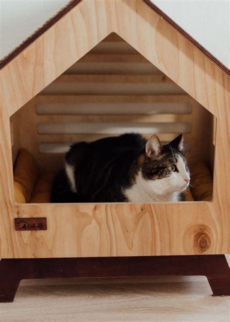 The Top 5 Best Wooden Cat Beds on Amazon!