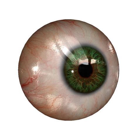 Real Eye PNG File | Cosas moradas, Globo ocular, Ojo humano