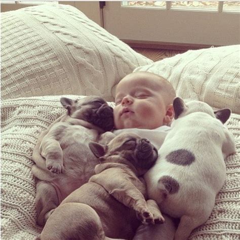 Baby sleeping with puppies - Cute animal pictures