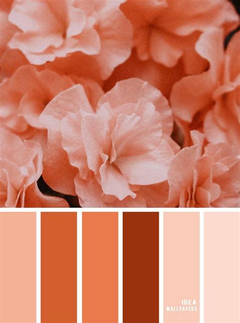 Color Palette Peach Color Palettes Color Palette Pink - vrogue.co